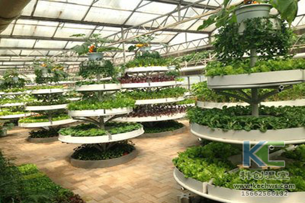 蔬菜無土栽培,無土栽培技術(shù),無土栽培設(shè)備,無土栽培