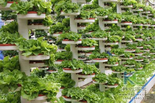 無土栽培技術，無土栽培設備，無土栽培，溫室大棚