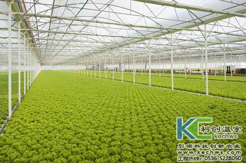 無土栽培，無土栽培技術(shù)，無土栽培設備