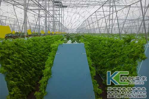 無土栽培，無土栽培技術，無土栽培設備