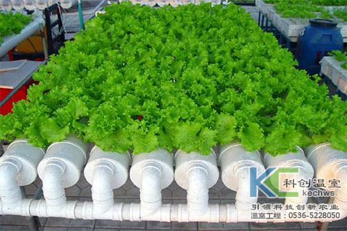 無土栽培，無土栽培技術，無土栽培設備