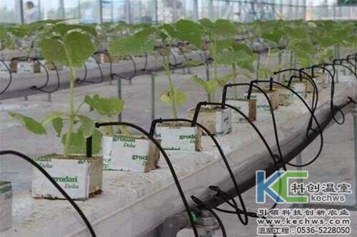 無土栽培，無土栽培技術，無土栽培設備