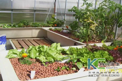 無(wú)土栽培，無(wú)土栽培技術(shù)，無(wú)土栽培設(shè)備