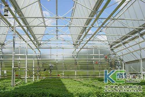 無土栽培，無土栽培技術，無土栽培設備