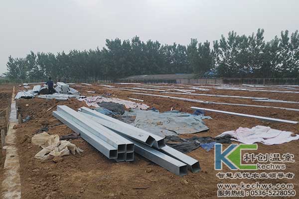 無(wú)土栽培，無(wú)土栽培技術(shù)，無(wú)土栽培設(shè)備