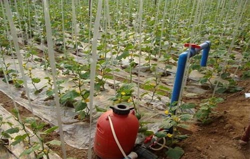無土栽培，無土栽培技術，無土栽培設備