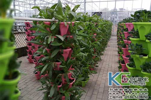 無土栽培，無土栽培技術，無土栽培設備