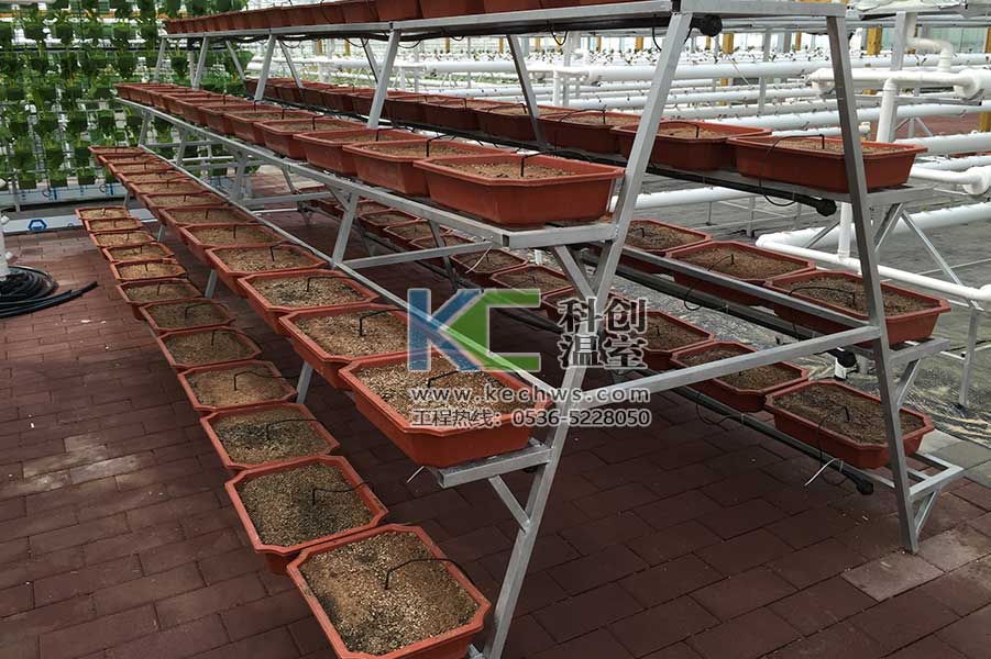 無土栽培，無土栽培技術(shù)，無土栽培設(shè)備