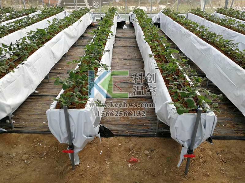 無土栽培，無土栽培技術，無土栽培設備