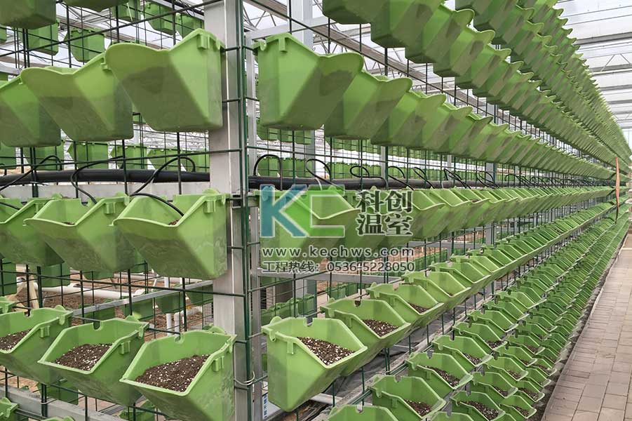 無土栽培，無土栽培技術，無土栽培設備