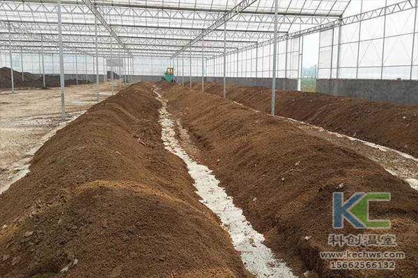 無土栽培，無土栽培技術，無土栽培設備