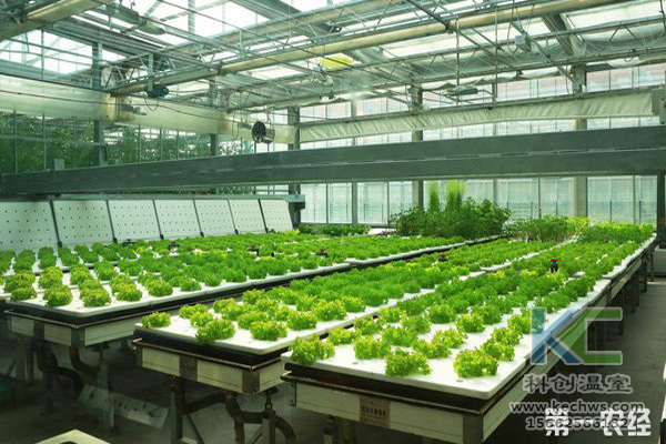 無土栽培,無土栽培技術,無土栽培設備