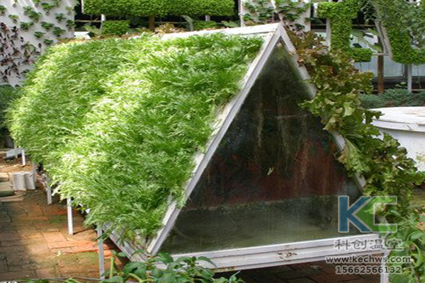 無(wú)土栽培，無(wú)土栽培技術(shù)，無(wú)土栽培設(shè)備