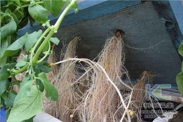 無(wú)土栽培，無(wú)土栽培技術(shù)，無(wú)土栽培設(shè)備