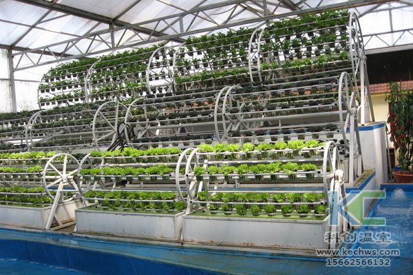 無土栽培，無土栽培技術(shù)，無土栽培設(shè)備，溫室大棚