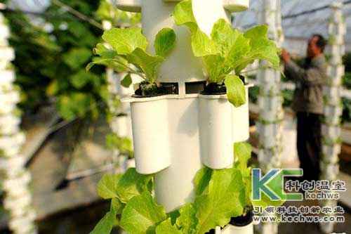 無(wú)土栽培，無(wú)土栽培技術(shù)，無(wú)土栽培設(shè)備
