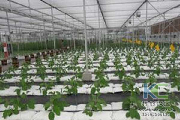 無土栽培，無土栽培技術，無土栽培設備