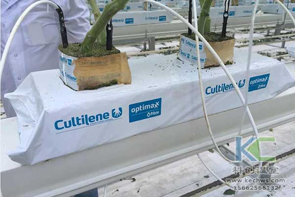 無土栽培，無土栽培技術(shù)，無土栽培設(shè)備