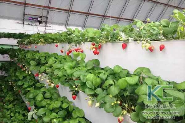 無土栽培，無土栽培技術(shù)，無土栽培設(shè)備