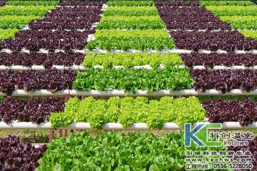 無土栽培，無土栽培技術，無土栽培設備