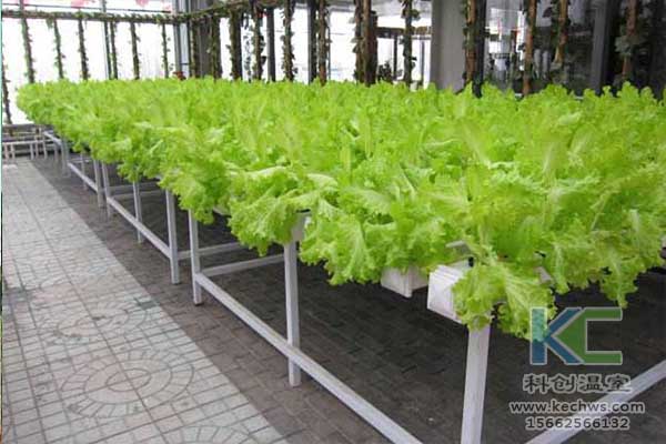 無土栽培，無土栽培技術(shù)，無土栽培設(shè)備