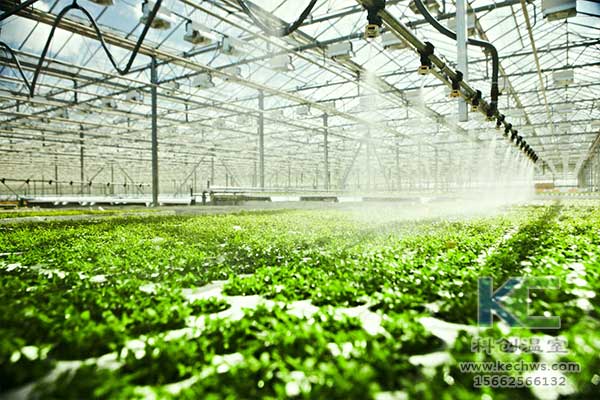 無(wú)土栽培，無(wú)土栽培技術(shù)，無(wú)土栽培設(shè)備