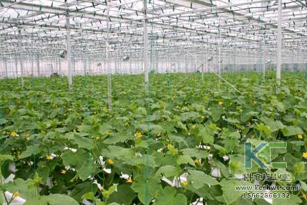 無土栽培，無土栽培技術，無土栽培設備