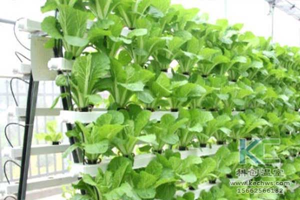 無(wú)土栽培，無(wú)土栽培技術(shù)，無(wú)土栽培設(shè)備