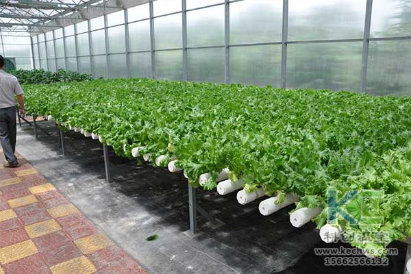 無(wú)土栽培，無(wú)土栽培技術(shù)，無(wú)土栽培設(shè)備
