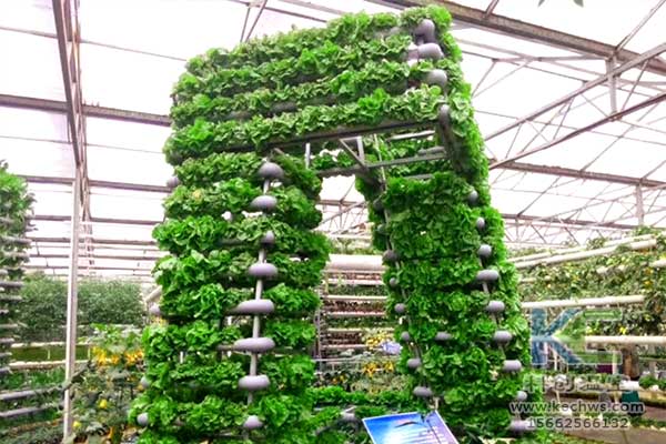 無土栽培，無土栽培技術，無土栽培設備