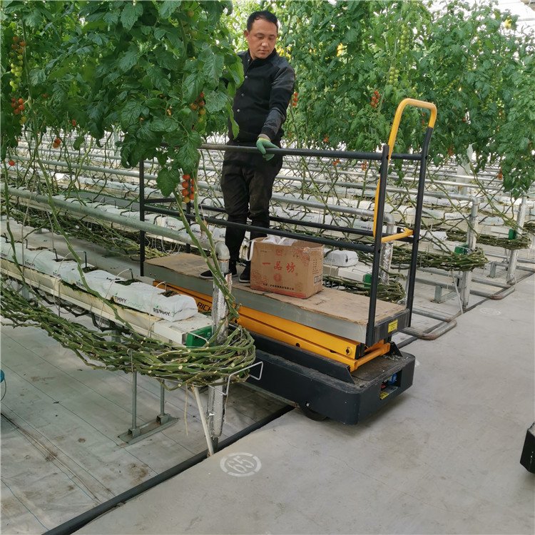 無(wú)土栽培，無(wú)土栽培技術(shù)，無(wú)土栽培設(shè)備