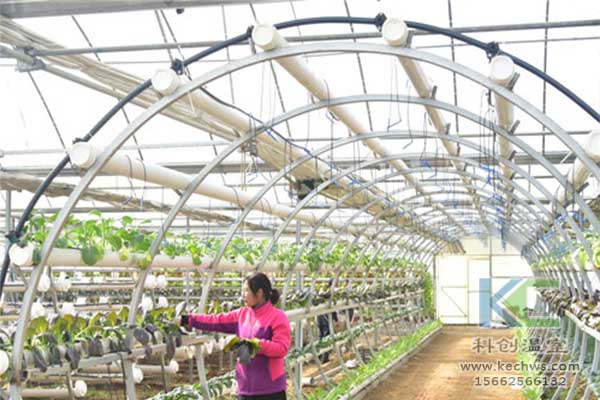 無土栽培，無土栽培技術，無土栽培設備
