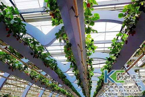 無土栽培，無土栽培技術，無土栽培設備