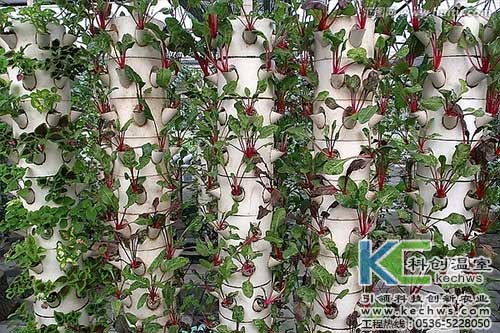 無土栽培，無土栽培技術，無土栽培設備