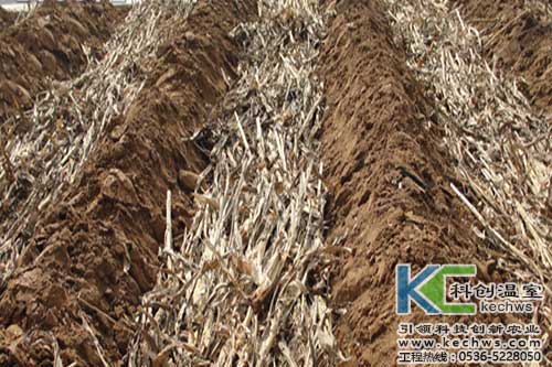 無土栽培，無土栽培技術，無土栽培設備