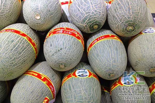 無土栽培，無土栽培技術，無土栽培設備