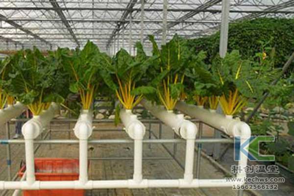 無土栽培，無土栽培技術，無土栽培設備