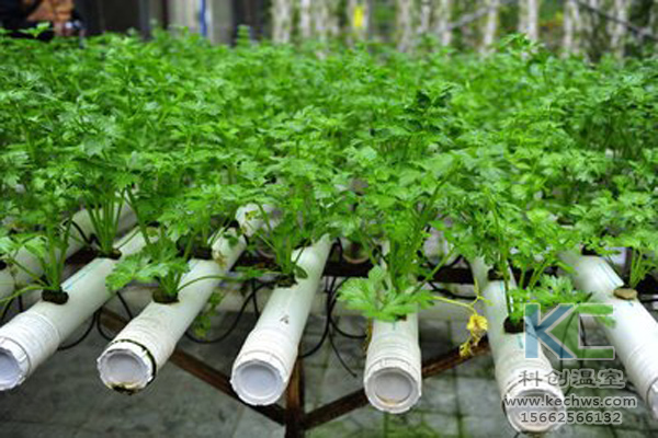 無土栽培，無土栽培技術，無土栽培設備