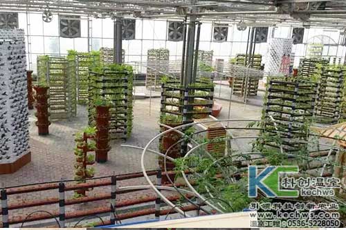 無土栽培，無土栽培案例