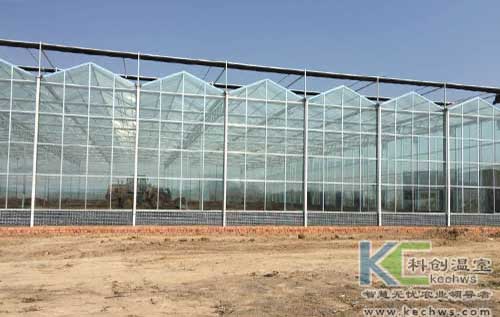 無土栽培，無土栽培技術，無土栽培設備