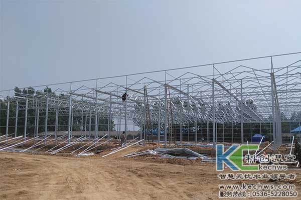 無(wú)土栽培，無(wú)土栽培技術(shù)，無(wú)土栽培設(shè)備