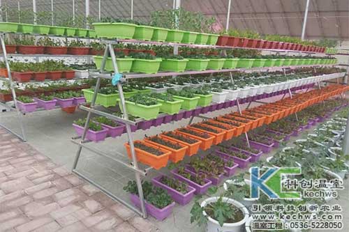 無土栽培，無土栽培技術，無土栽培設備