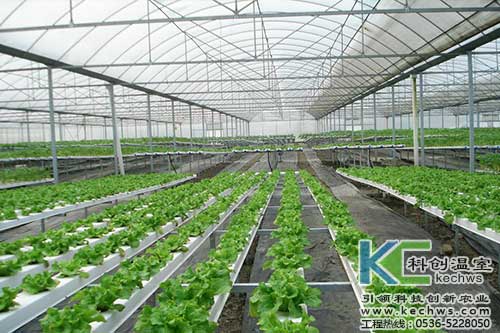 無土栽培，無土栽培技術，無土栽培設備