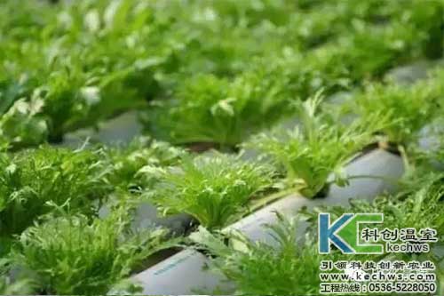 無土栽培，無土栽培技術(shù)，無土栽培設備