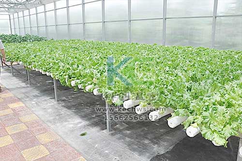 無土栽培，無土栽培技術，無土栽培設備