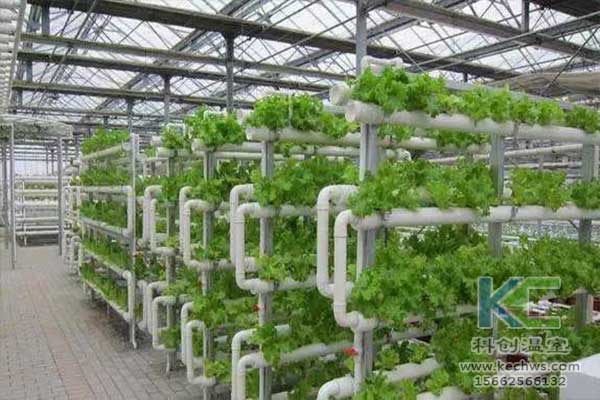 無土栽培，無土栽培技術，無土栽培設備