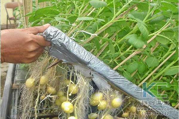 無土栽培，無土栽培技術，無土栽培設備