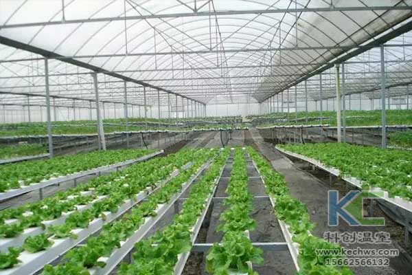 無土栽培，無土栽培技術(shù)，無土栽培設(shè)備