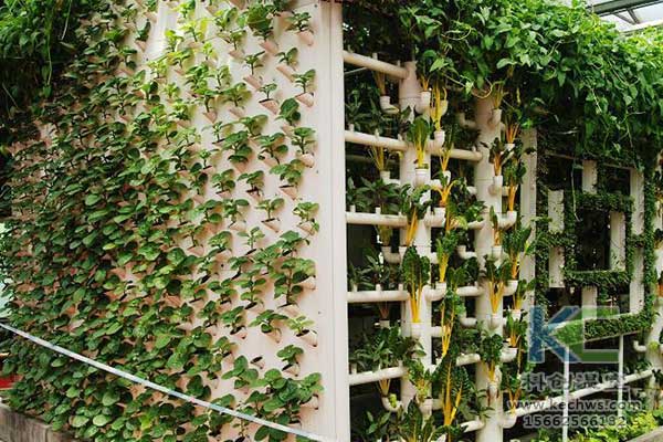 無土栽培，無土栽培技術，無土栽培設備