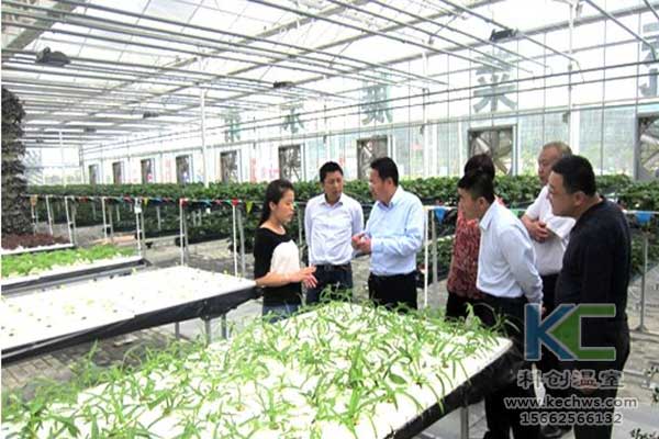 無土栽培，無土栽培技術，無土栽培設備